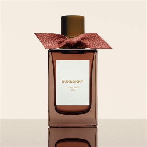 amber heath burberry|Burberry perfume amber.